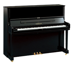 UPRIGHT PIANO (cao cấp)